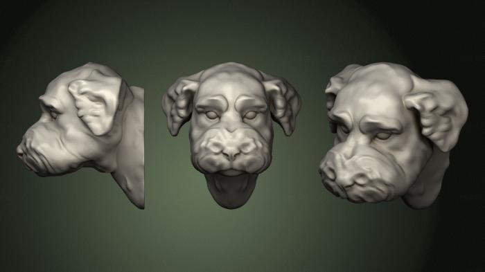 Masks and muzzles of animals (MSKJ_0276) 3D model for CNC machine